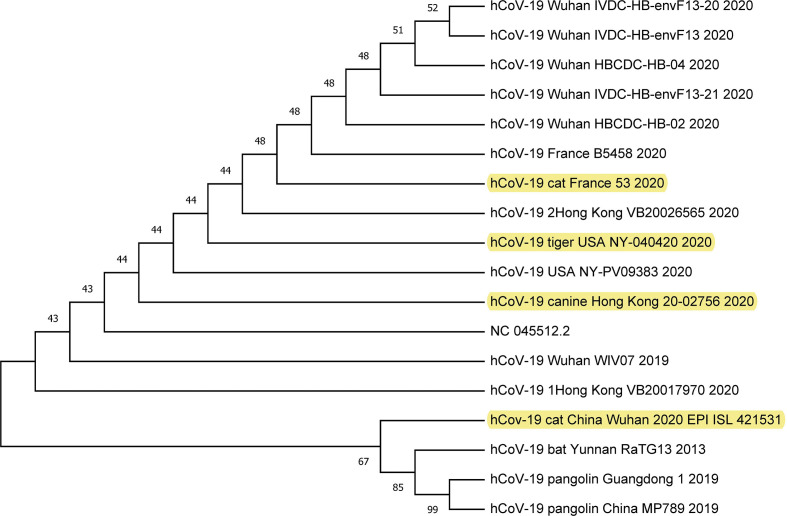 Fig. 2