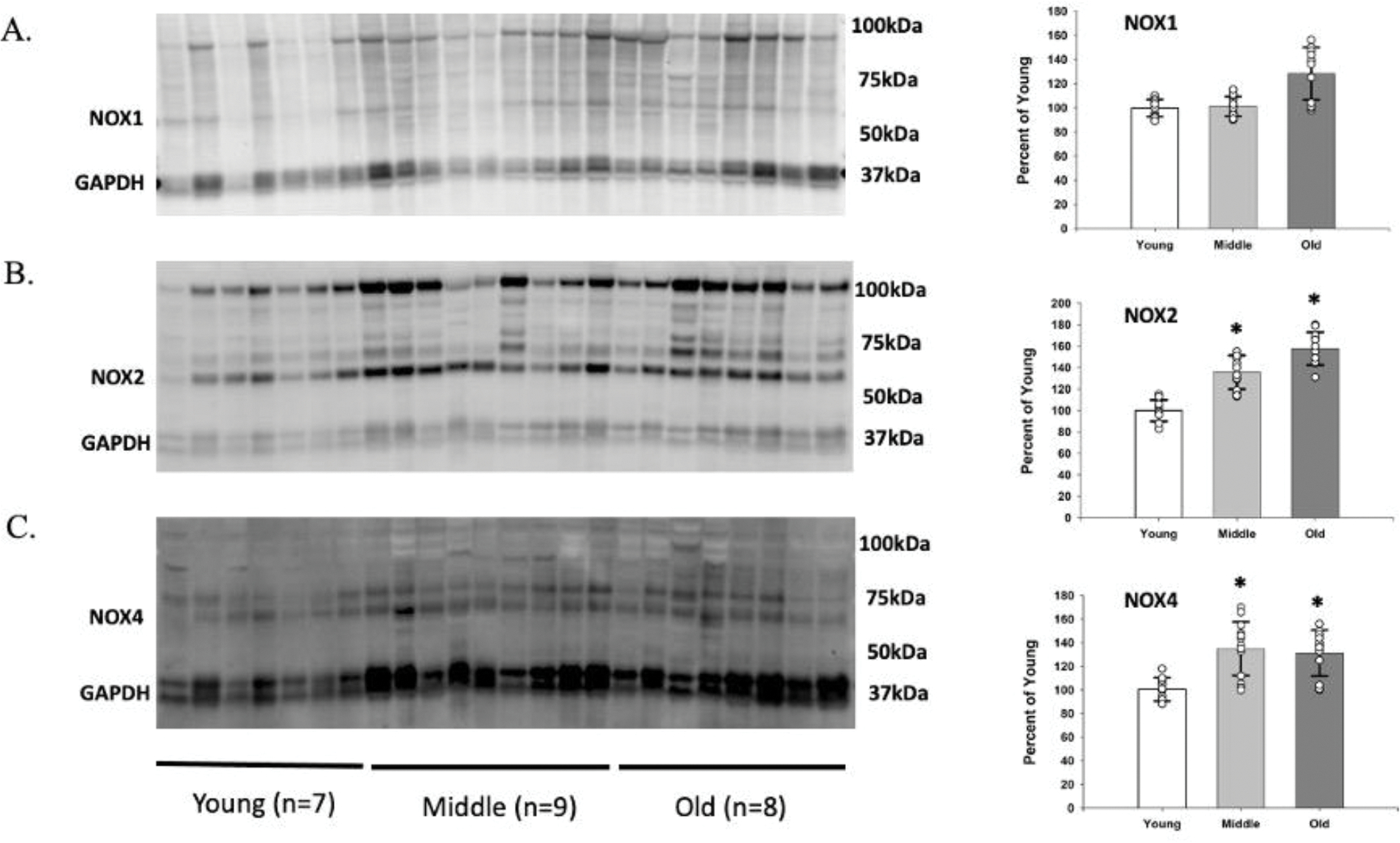 Figure 5.