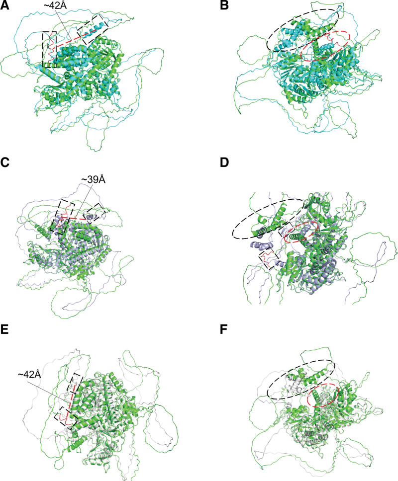 Figure 3.