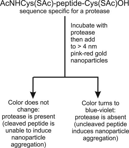 Scheme 1.