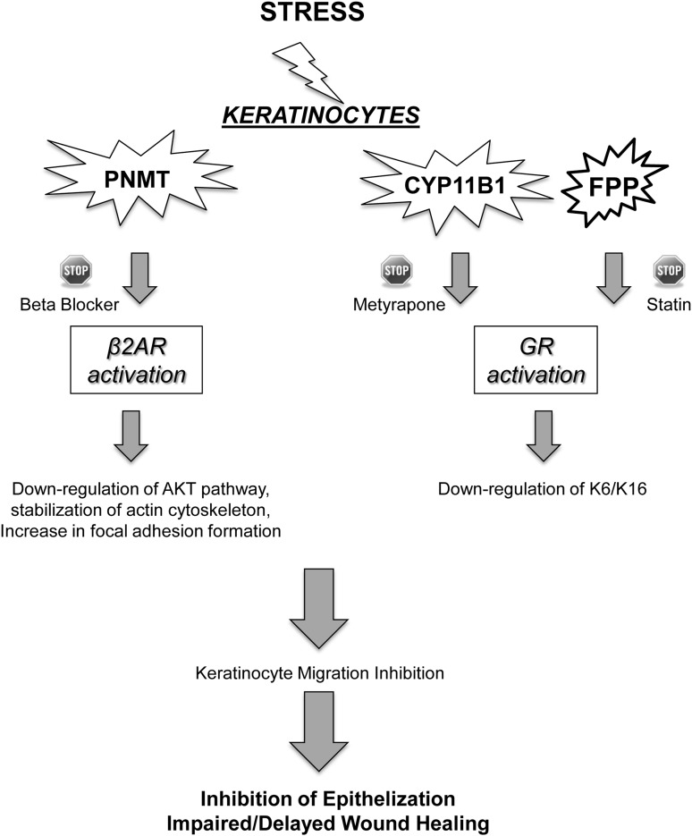 graphic file with name fig-2.jpg