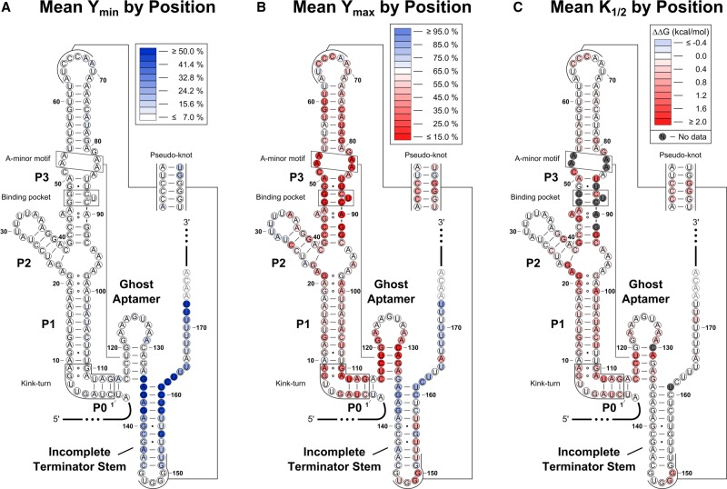 FIGURE 6.