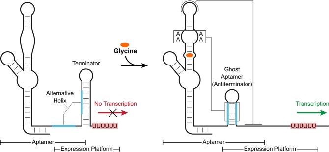 FIGURE 1.