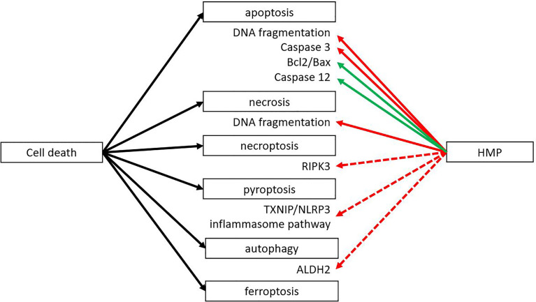 Figure 3