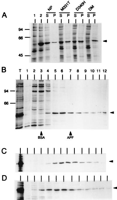 FIG. 4