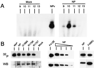 FIG. 6