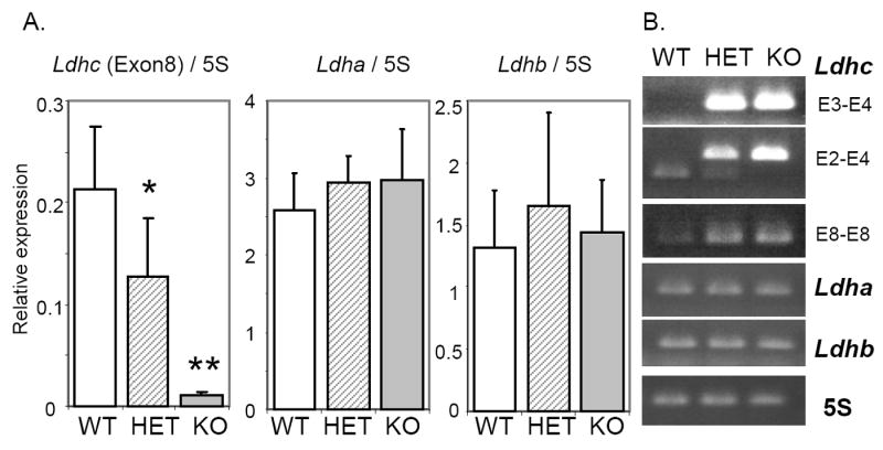 Fig.2