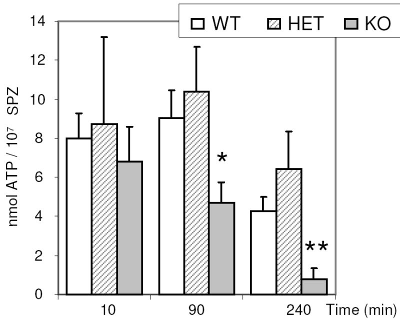 Fig.8