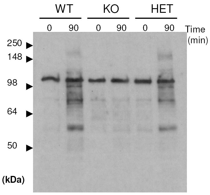 Fig.7