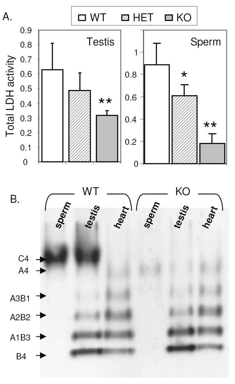 Fig.3