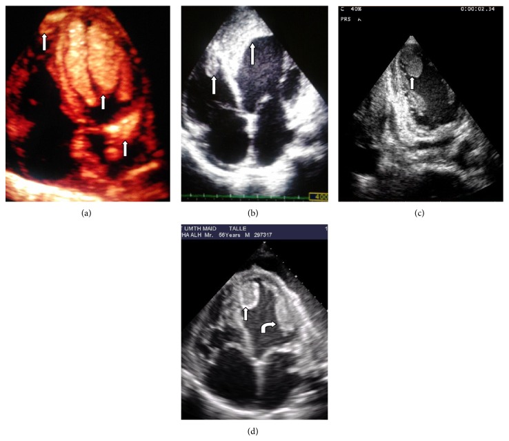 Figure 4