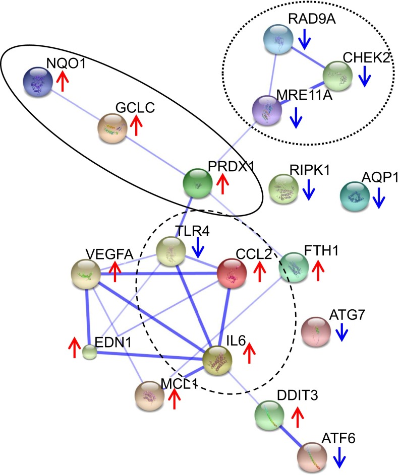 Fig. 4.