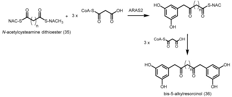 Scheme 11