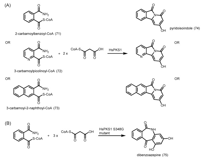 Scheme 25