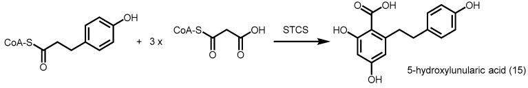 Scheme 4