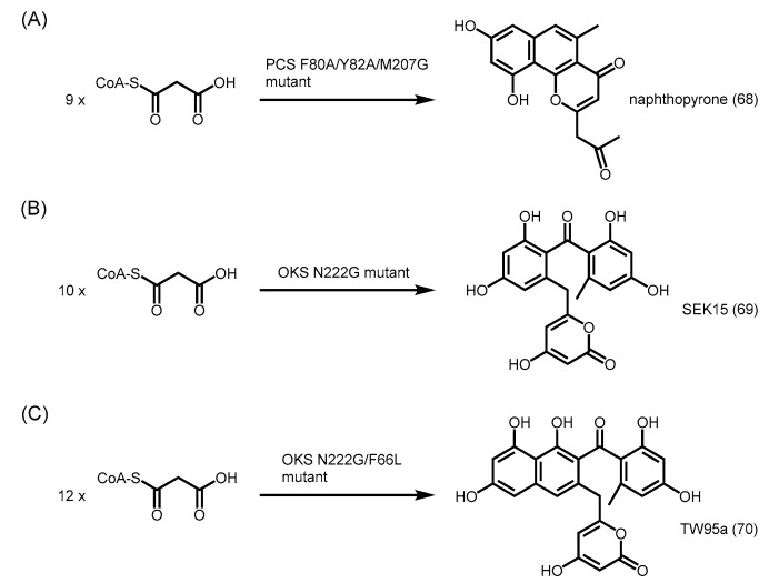 Scheme 24