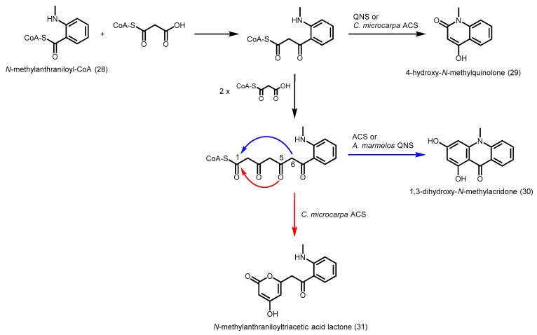 Scheme 9