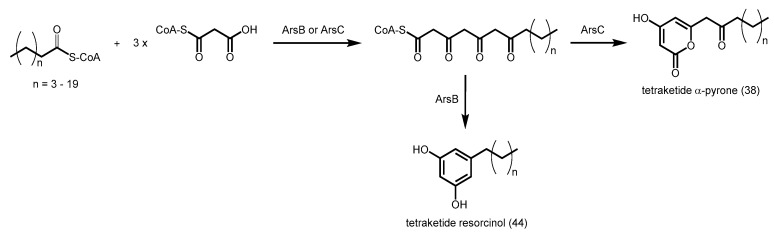 Scheme 17