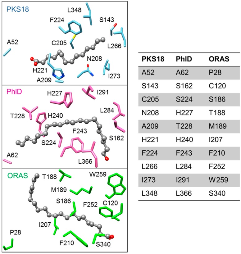 Figure 14