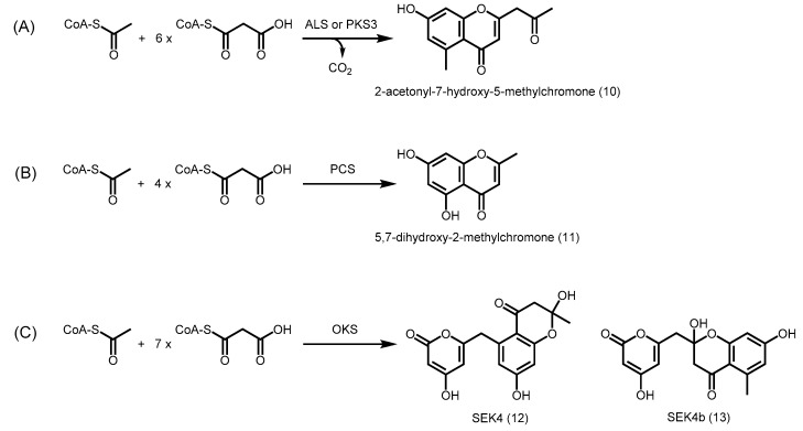 Scheme 2