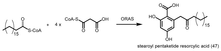 Scheme 19