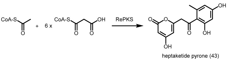 Scheme 16