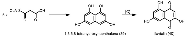 Scheme 13