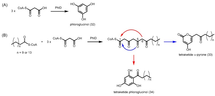 Scheme 10