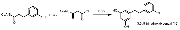 Scheme 5