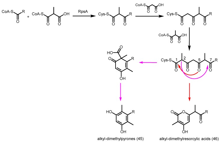 Scheme 18