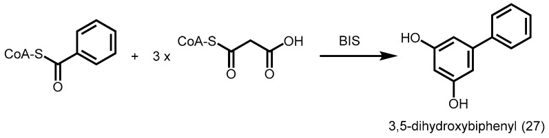 Scheme 8