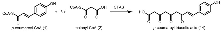 Scheme 3