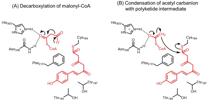 Figure 17