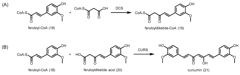 Scheme 6