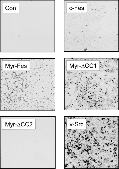 FIG. 10