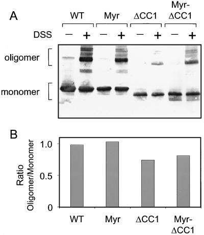 FIG. 5