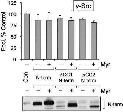 FIG. 8