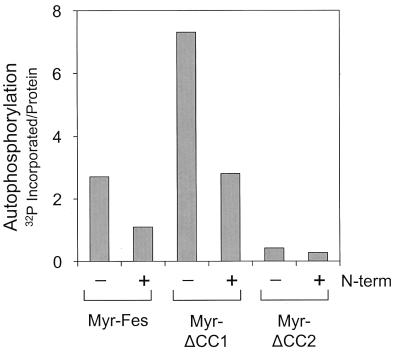 FIG. 9