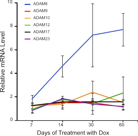 FIGURE 1.