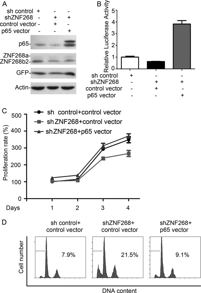 FIGURE 5.