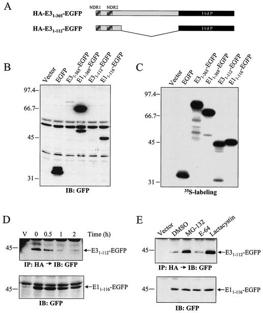 FIG. 7.