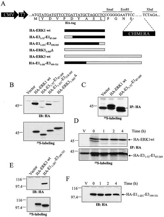 FIG. 5.