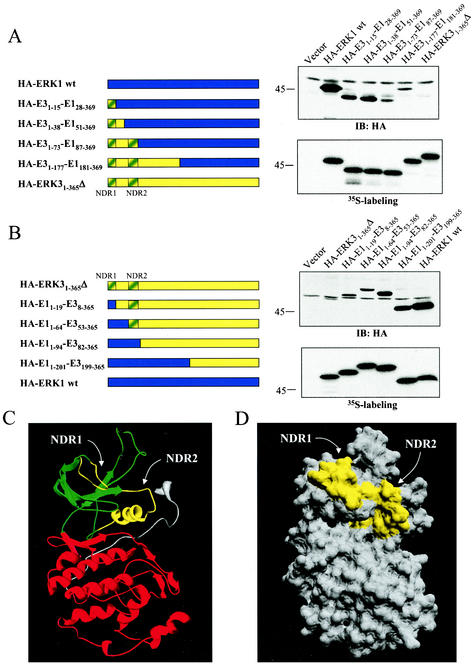 FIG.6.