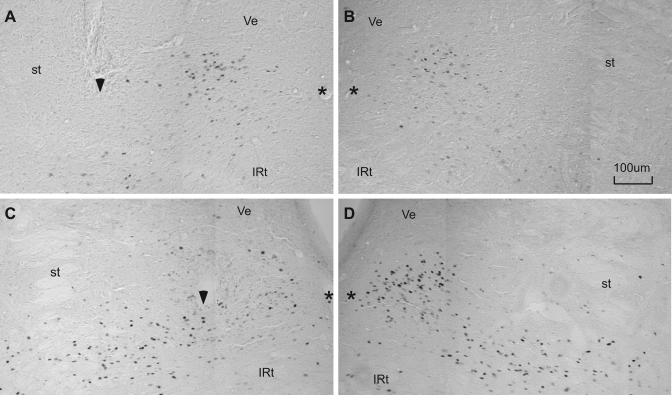 Fig. 7.