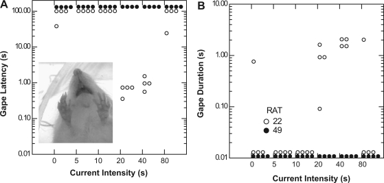 Fig. 8.