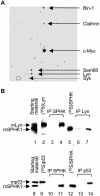 FIG. 1.