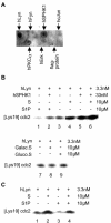 FIG. 6.