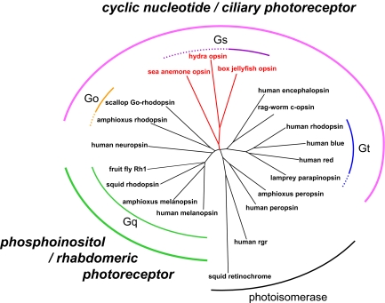 Fig. 4.