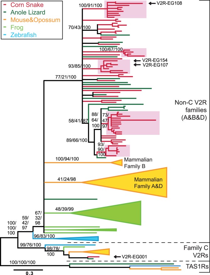 Fig. 3.—