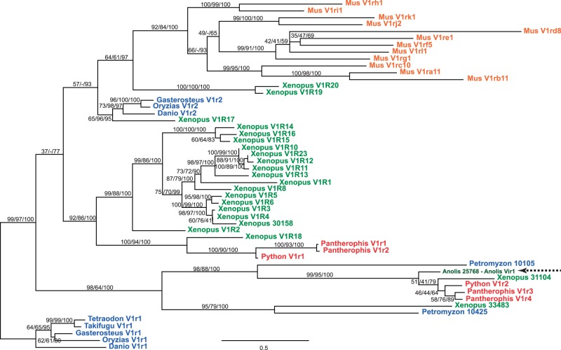 Fig. 6.—